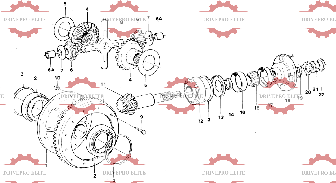 Differential carrier