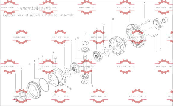 Differential Assembly
