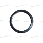 Oil seal FB170×200×15