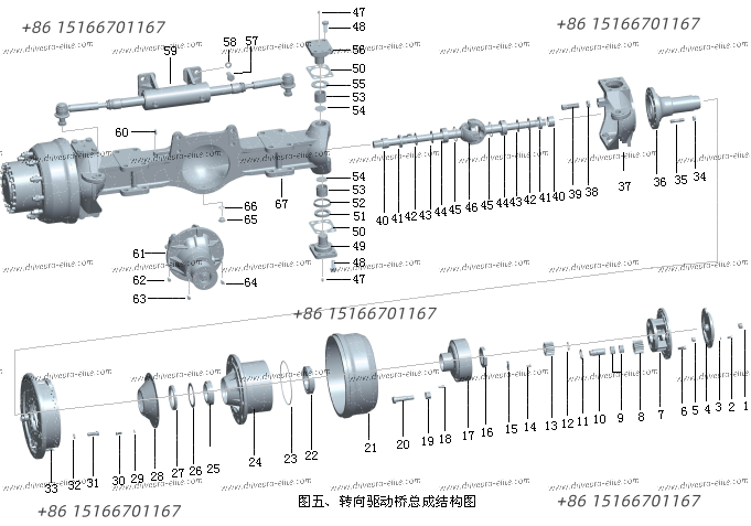 Drive Axle Assembly